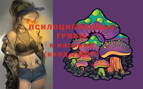скорость Алзамай